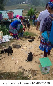 Sapa, Vietnam. 30 September 2018: Dog Meat Trade. Drugged Puppies Tied With Strings And Ropes Are Being Sold For Their Meat In Northern Vietnam.