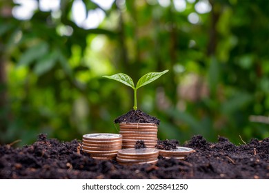 A sapling growing on a pile of coins has a natural backdrop. Money-Saving Ideas and Economic Growth - Shutterstock ID 2025841250