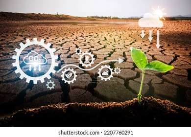 The Sapling Are Growing From The Soil With Sunlight And Carbon Dioxide Absorb Cycle And Digital Data Information On Hot Desert Land Background	