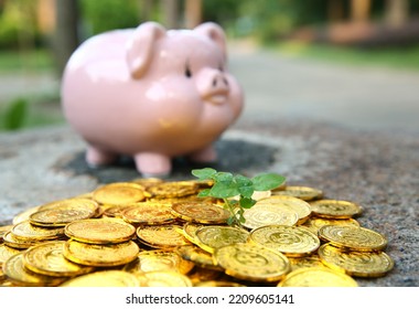 A sapling or a small tree that is planted on a pile of coins, including a piggy bank to save money, saving ideas and saving money. - Shutterstock ID 2209605141
