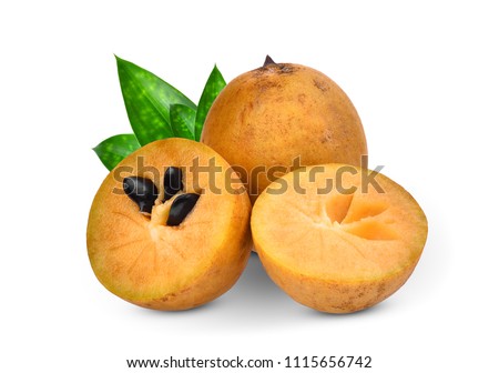 sapodilla fruit with green leaves isolated on the white background