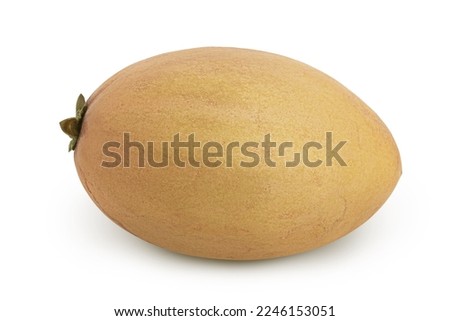 Sapodilla isolated on white background with full depth of field