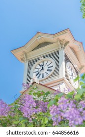 Sapporo Clock Tower And Lilac Flower / Early Summer Hokkaido Sapporo City