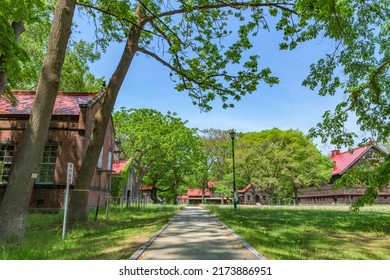 SAPPORO, JAPAN - MAY 25, 2022: Sapporo Agricultural College Dairy Farm Is One Of Important Cultural Properties Of Japan, In Sapporo City, Hokkaido, Japan..