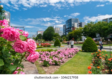 Sapporo University Streetpark In Early Summer.