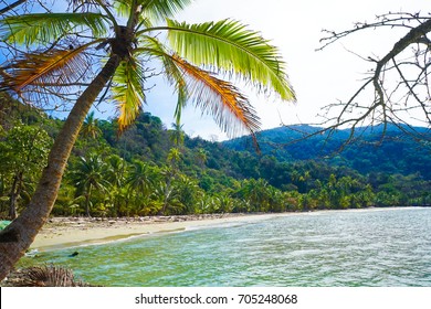 Sapzurro La Miel Colombia Stock Photo 705248068 | Shutterstock