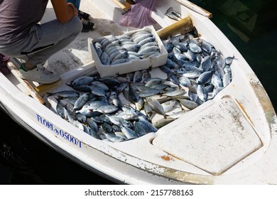 SARANDE, ALBANIA - MARCH 29, 2022: View Of Pile Of Freshly Caught Fish On Fishing Boat Offered For Sale At Open Market In City Harbor On Sunny Day..