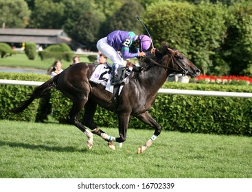 SARATOGA SPRINGS - August 16: Alan Garcia Aboard Grand Couturier Winning The Sword Dancer Stakes August 16, 2008 In Saratoga Springs, NY.