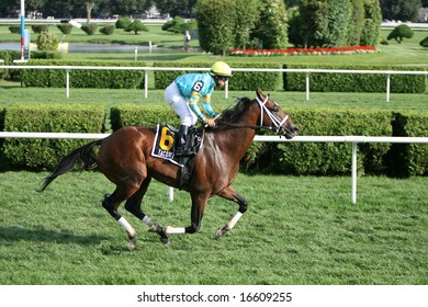 SARATOGA SPRINGS - August 17: Alan Garcia Aboard Taconeo Finishes Second In The John's Call Stakes August 17, 2008 In Saratoga Springs, NY