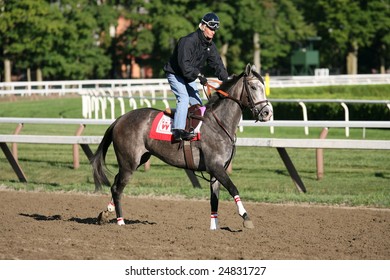 SARATOGA SPRINGS - AUGUST 18: Jockey Calvin Borel Works A Horse On The Saratoga Main Track On August 18, 2005 In Saratoga Springs, NY.