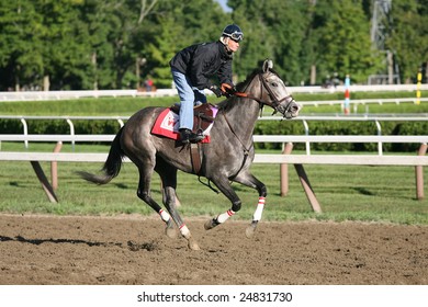 SARATOGA SPRINGS - AUGUST 18: Jockey Calvin Borel Works A Horse On The Saratoga Main Track On August 18, 2005 In Saratoga Springs, NY