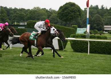 SARATOGA SPRINGS - August 2: It's A Photo Finish In The Fifth Race On The Inner Turf August 2, 2008 In Saratoga Springs, NY.