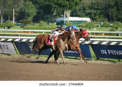 SARATOGA SPRINGS - August 22: Ginger Punch And Lemon Drop Mom Are All Even In The Stretch Run Of The Personal Ensign Grade I Stakes Race August 22, 2008 In Saratoga Springs, NY.