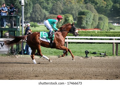 SARATOGA SPRINGS - August 23: Visionaire With Alan Garcia Aboard In The Post Parade For The King's Bishop Stakes August 23, 2008 In Saratoga Springs, NY.