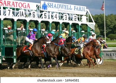 Horse Race Starting Gate High Res Stock Images Shutterstock