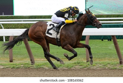 SARATOGA SPRINGS - JUL 20: Thoroughbred Jockey Joel Rosario Guides 2 Year-old 