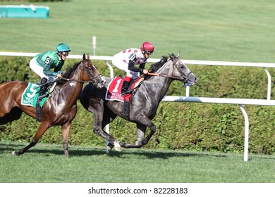 SARATOGA SPRINGS - JULY 30: Unbridled Humor Leads Bay To Bay In The Clubhouse Turn During The Grade 1 Diana Stakes July 30, 2011 In Saratoga Springs, NY.