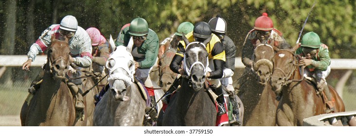 SARATOGA SPRINGS, NY - AUG 23: Head-On Racing Action On Travers Stakes Weekend At Historic Saratoga Race Course Aug 23, 2008 Saratoga Springs, NY.