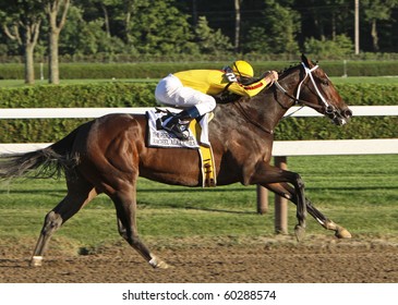 SARATOGA SPRINGS, NY - AUG 29: Horse Of The Year Rachel Alexandra Races To A 2nd Place Finish In The Personal Ensign Stakes At Saratoga Race Course On Aug 29, 2010 In Saratoga Springs, NY.