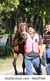 SARATOGA SPRINGS, NY- AUGUST 1:  An Unknown Groom Walks Colina Verde To The Paddock Before The 71st Diana Stakes At Saratoga Race Track August 1, 2009 In Saratoga Springs, NY.