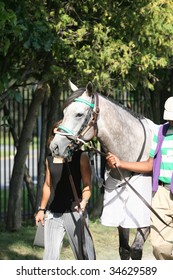 SARATOGA SPRINGS, NY- AUGUST 1:  An Unknown Groom Walks Forever Together To The Paddock Before The 71st Diana Stakes At Saratoga Race Track August 1, 2009 In Saratoga Springs, NY.