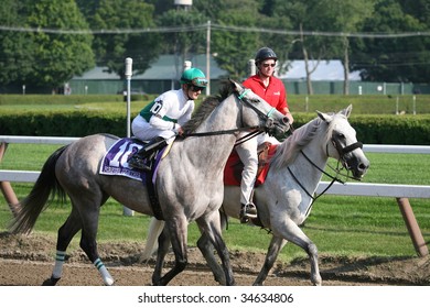 SARATOGA SPRINGS, NY- AUGUST 1:  Julien Leparoux Aboard Forever Together In The Post Parade Before The 71st Diana Stakes At Saratoga Race Track, August 1, 2009 In Saratoga Springs, NY.