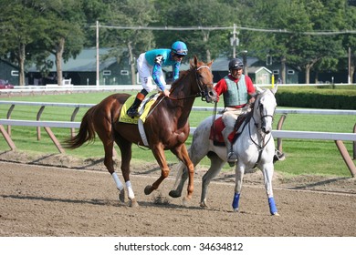 SARATOGA SPRINGS, NY- AUGUST 1:  Kent Desormeaux Aboard Indescribable In The Post Parade Before The 71st Diana Stakes At Saratoga Race Track,  August 1, 2009 In Saratoga Springs, NY.