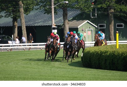 SARATOGA SPRINGS, NY- AUGUST 1:  The Field Is At The Top Of The Stretch In The 71st Diana Stakes At Saratoga Race Track,  August 1, 2009 In Saratoga Springs, NY.