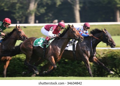 SARATOGA SPRINGS, NY- AUGUST 1:  Quiet Meadow Leads Criticism (GB) Down The Stretch In The 71st Diana Stakes At Saratoga Race Track,  August 1, 2009 In Saratoga Springs, NY.