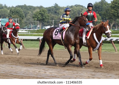 SARATOGA SPRINGS, NY - AUGUST 25: Contested With Rafael Bejarano Aboard In The Post Parade For The Grade I TEST STAKES On August 25, 2012 Saratoga Springs, New York