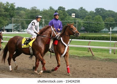 Saratoga Springs, NY - July 26, 2008 The 81st Running Of The Whitney Handicap - Post Parade #4 Cowtown Cat With Rafael Bejarano Riding