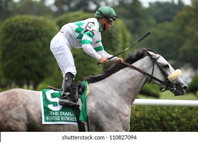 SARATOGA SPRINGS, NY - JULY 28: Jockey Javier Castellano Aboard Winter Memories Rides Out After Winning The Diana Stakes On July 28, 2012 Saratoga Springs, New York