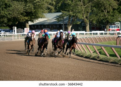 SARATOGA SPRINGS, NY- SEPT 5: The Field Turns For Home In The Grade I Forego Stakes At Saratoga Race Track, September 5, 2009 In Saratoga Springs, NY.