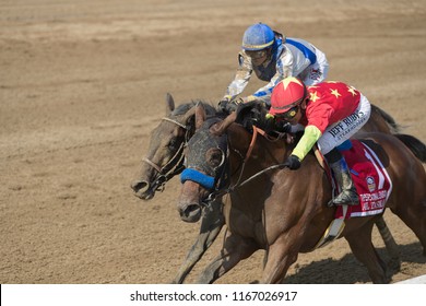 Saratoga Springs, NY, USA - August 25, 2018: Abel Tasman And Elate Battle Down The Stretch In The Personal Ensign Stakes On Travers Day August 25, 2018 Saratoga Springs, NY, USA 