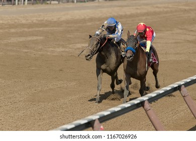 Saratoga Springs, NY, USA - August 25, 2018: Abel Tasman And Elate Battle Down The Stretch In The Personal Ensign Stakes On Travers Day August 25, 2018 Saratoga Springs, NY, USA 