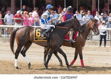 Saratoga Springs, NY, USA - August 25, 2018: Elate Ridden By Jose L. Ortiz In The Post Parade For The Personal Ensign Stakes On Travers Day August 25, 2018 Saratoga Springs, NY, USA 