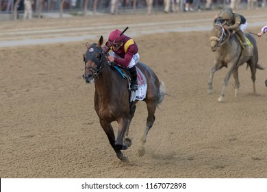 Saratoga Springs, NY, USA - August 25, 2018: Catholic Boy Ridden By Javier Castellano In The Stretch Run Of The 1.25 Million $ Travers Stakes On Travers Day August 25, 2018 Saratoga Springs, NY, USA 