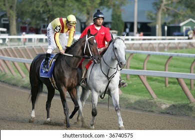 SARATOGA SPRINGS - SEPT 5: Jockey Calvin Borel Warms Up 