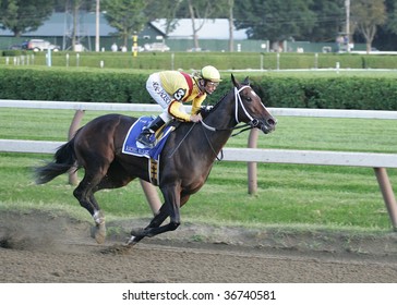 SARATOGA SPRINGS - SEPT 5: Jockey Calvin Borel Riding 