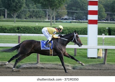 SARATOGA SPRINGS - SEPT 5: Jockey Calvin Borel Rides 