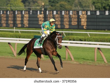 SARATOGA SPRINGS - SEPT 7: Jockey Calvin Borel Rides 