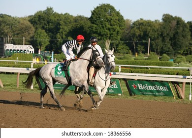 SARATOGA SPRINGS - September 1: Alan Garcia Aboard Vineyard Haven In The Post Parade For The Hopeful Stakes On September 1, 2008 In Saratoga Springs, NY.