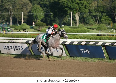 SARATOGA SPRINGS - September 1: Alan Garcia Aboard Vineyard Haven Leads Down The Stretch In The Hopeful Stakes On September 1, 2008 In Saratoga Springs, NY.