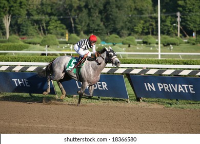 SARATOGA SPRINGS - September 1: Alan Garcia Aboard Vineyard Haven Leads Down The Stretch In The Hopeful Stakes On September 1, 2008 In Saratoga Springs, NY.