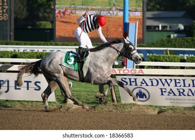 SARATOGA SPRINGS - September 1: Alan Garcia Aboard Vineyard Haven Celebrates As They Win The Hopeful Stakes On September 1, 2008 In Saratoga Springs, NY.