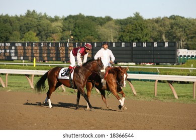 SARATOGA SPRINGS - September 1: Edgar Prado Aboard Desert Party In The Post Parade For The Hopeful Stakes On September 1, 2008 In Saratoga Springs, NY.