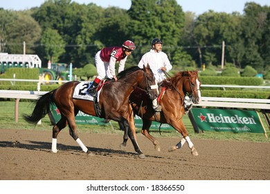 SARATOGA SPRINGS - September 1: Edgar Prado Aboard Desert Party In The Post Parade For The Hopeful Stakes On September 1, 2008 In Saratoga Springs, NY.