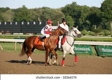 SARATOGA SPRINGS - September 1: Elvis Trujillo Aboard Notonthesamepage In The Post Parade For The Hopeful Stakes On September 1, 2008 In Saratoga Springs, NY.