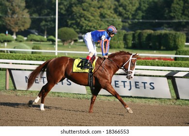 SARATOGA SPRINGS - September 1: John Velasquez Aboard Munnings In The Post Parade For The Hopeful Stakes On September 1, 2008 In Saratoga Springs, NY.