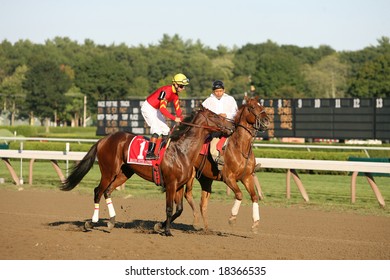 SARATOGA SPRINGS - September 1: Kent Desormeaux Aboard Break Water Edison In The Post Parade For The Hopeful Stakes On September 1, 2008 In Saratoga Springs, NY.